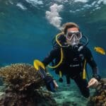 Subnautica Diver’s Guide: Surviving an Alien Ocean